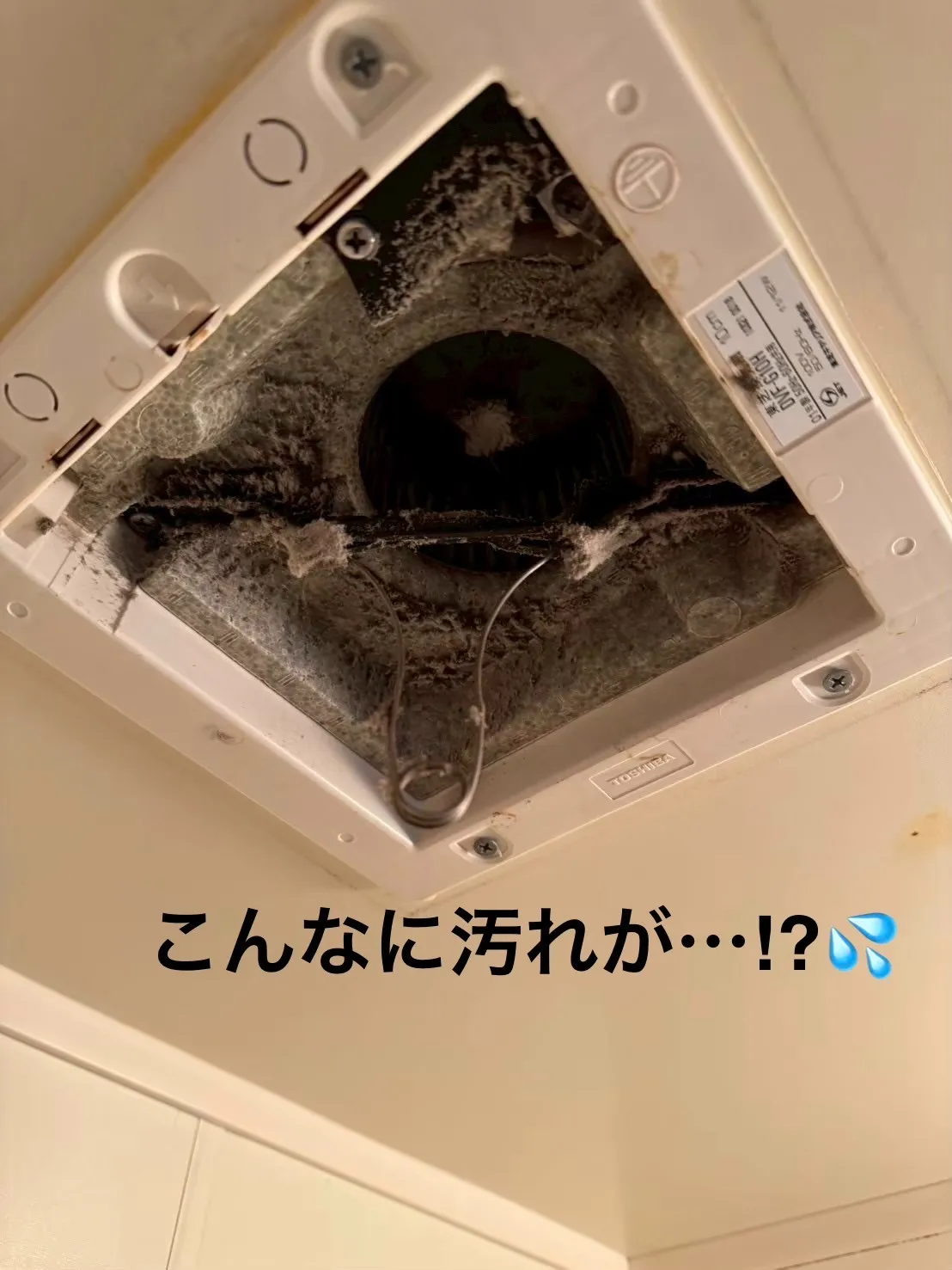 【天井換気扇を徹底クリーニング🧹】普段は見えない場所こそ、プロの出番✨